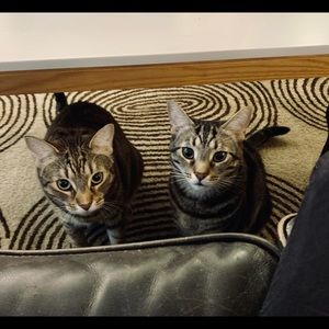 Meet your Posher, Karen